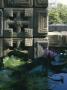 Storer House, Los Angeles, California, Concrete Textile Blocks And Waterlilies, Frank Lloyd Wright by Richard Bryant Limited Edition Print