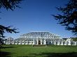 Temperate House (1862-98), Royal Botanic Gardens Kew, London, Architect: Decimus Burton by Richard Bryant Limited Edition Print