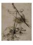 Decollation De Saint Jean-Baptiste by Rembrandt Van Rijn Limited Edition Print