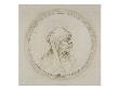 Caricature D'une Vieille Femme Coiffee D'un Voile by Leonard De Vinci Limited Edition Print