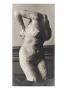Photo D'une Sculpture En Cire De Degas:Femme Se Frottant Le Dos Avec Une Ã‰Ponge,Torse (Rf2119) by Ambroise Vollard Limited Edition Print