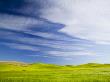 Fresh Spring Barley And Wheat Fields, Palouse Country, Washington, Usa by Terry Eggers Limited Edition Print