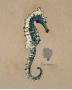 Vintage Linen Seahorse by Regina-Andrew Design Limited Edition Pricing Art Print