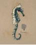 Vintage Linen Seahorse by Regina-Andrew Design Limited Edition Print