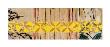 Wood And Weight, Medallion I, Weaving Series by Nina Tichava Limited Edition Print