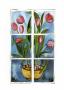 Flowers At The Window Iii by P. Sonja Limited Edition Print