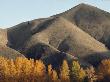 Autumn View Of Hills North Of Salmon, Idaho by Joel Sartore Limited Edition Print