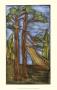 Wood-Carved Trees Ii by Jennifer Goldberger Limited Edition Print