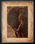 Elephant by Keith Levit Limited Edition Print
