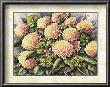 Pink Hydrangea by Peggy Thatch Sibley Limited Edition Print