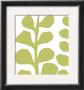 Green Fern On White by Denise Duplock Limited Edition Print