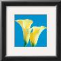 Lily Bloom V by Bill Philip Limited Edition Pricing Art Print