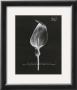 Cala Lilly by Stela Klein Limited Edition Pricing Art Print