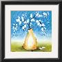 Spring Bouquet Iii by Alfred Gockel Limited Edition Pricing Art Print