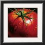 Tomato by Alma'ch Limited Edition Print