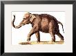 Elephant, Left Panel by Karl Brodtmann Limited Edition Print