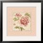 Rose On Acanthus I by Cheri Blum Limited Edition Print