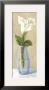 White Flower In Purple Vase by David Col Limited Edition Print