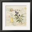 Tuscan Olive Oil by Angela Staehling Limited Edition Print