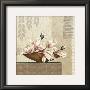 Gradiflora I by Linda Wood Limited Edition Print