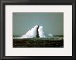 Le Phare Du Four by Philip Plisson Limited Edition Print