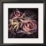 Beauty by S. G. Rose Limited Edition Print