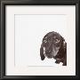 Dachshund by Emily Burrowes Limited Edition Print