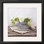 Amelie's Workshop: Bouquet by Amelie Vuillon Limited Edition Print
