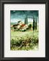 Toscane Iv by Franz Heigl Limited Edition Pricing Art Print
