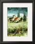 Toscane Iv by Franz Heigl Limited Edition Print