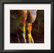 Torso by Jean-Francois Dupuis Limited Edition Print