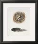 Field Study Nest by Jurgen Gottschlag Limited Edition Print