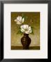 Flowering Magnolia by Charles Gaul Limited Edition Print