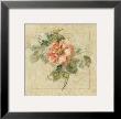 Provence Rose Ii by Cheri Blum Limited Edition Print