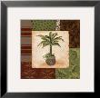 Potted Palm Ii by Pamela Desgrosellier Limited Edition Print