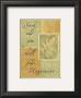 Words To Live By: Seek And You Shall Find by Marilu Windvand Limited Edition Pricing Art Print