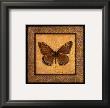Crackled Butterfly I by Wendy Russell Limited Edition Print