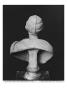 Bust Of Julia Mamaea by Roman Limited Edition Print