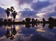 Palm Trees Silhouetted By Water At Sunset, Texas, Usa by Rolf Nussbaumer Limited Edition Print