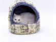 Domestic Cat, Longhaired White In Igloo Bed by Jane Burton Limited Edition Print