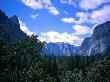 Forest With Mountains, Chile by Michael Brown Limited Edition Print