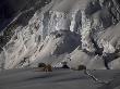 Camp One On Southside Of Everest, Nepal by Michael Brown Limited Edition Print