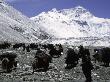 Yaks And Sherpas At The Foot Of Himalayan Mountain Range by Michael Brown Limited Edition Pricing Art Print