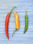 Yellow Red And Green Chilli Peppers Chillies Freshly Harvested On Pale Blue Background by Gary Smith Limited Edition Print