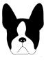 Boston Terrier by Avalisa Limited Edition Print