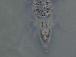 Looking Down On An American Crocodile Partially Submerged In Water, Costa Rica by Edwin Giesbers Limited Edition Print