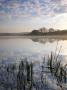 Lower Tamar Lake, North Devon Cornwall Border, Uk by Ross Hoddinott Limited Edition Print