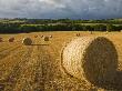 Round Straw Bales In A Field Near Morchard Bishop, Devon, England by Adam Burton Limited Edition Print