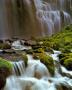 Proxy Falls, Oregon by Dick Dietrich Limited Edition Print