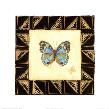 Precis Octavia Butterfly by Gretchen Shannon Limited Edition Print